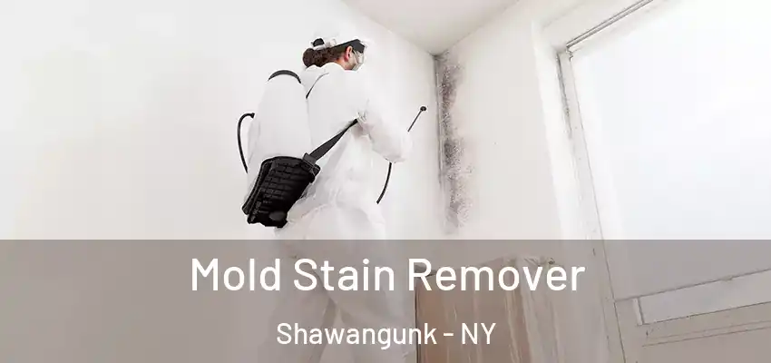Mold Stain Remover Shawangunk - NY