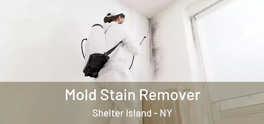 Mold Stain Remover Shelter Island - NY