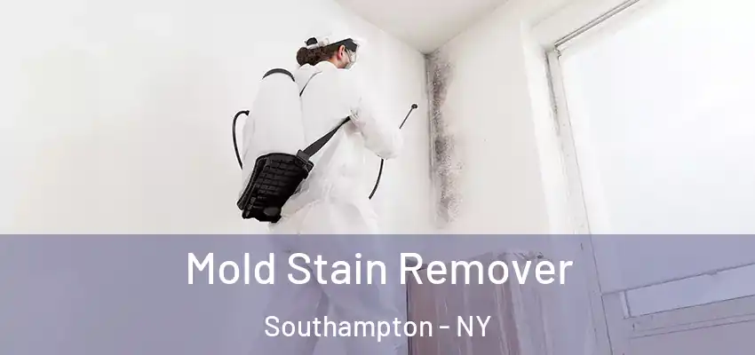  Mold Stain Remover Southampton - NY
