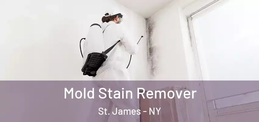 Mold Stain Remover St. James - NY