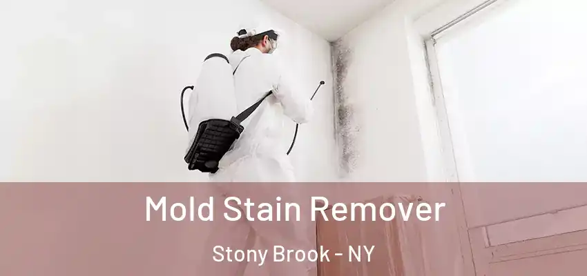 Mold Stain Remover Stony Brook - NY
