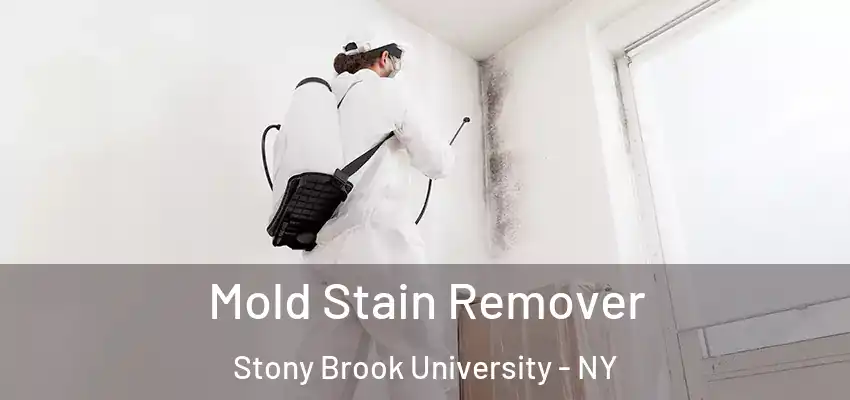  Mold Stain Remover Stony Brook University - NY