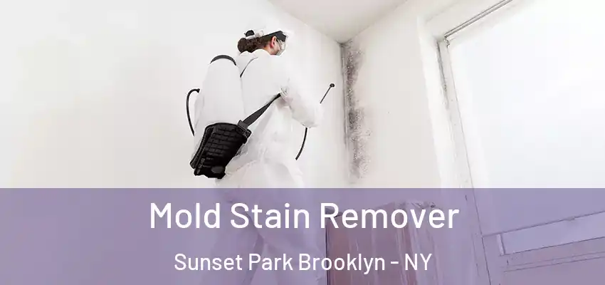  Mold Stain Remover Sunset Park Brooklyn - NY