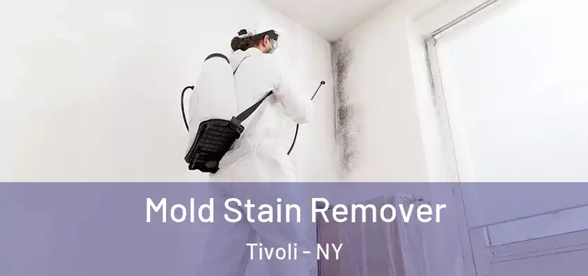  Mold Stain Remover Tivoli - NY