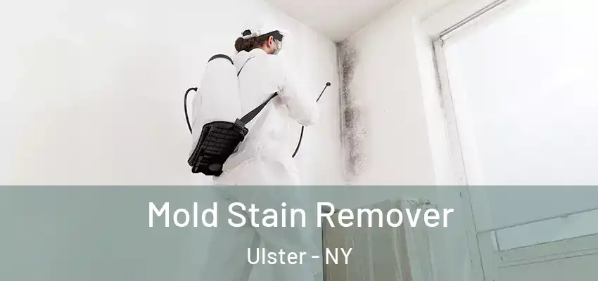 Mold Stain Remover Ulster - NY