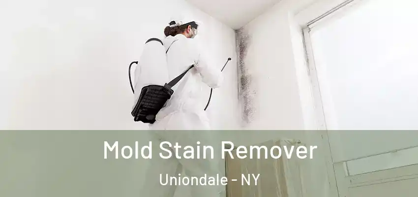  Mold Stain Remover Uniondale - NY