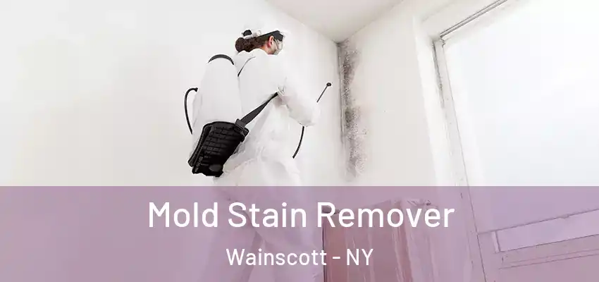  Mold Stain Remover Wainscott - NY