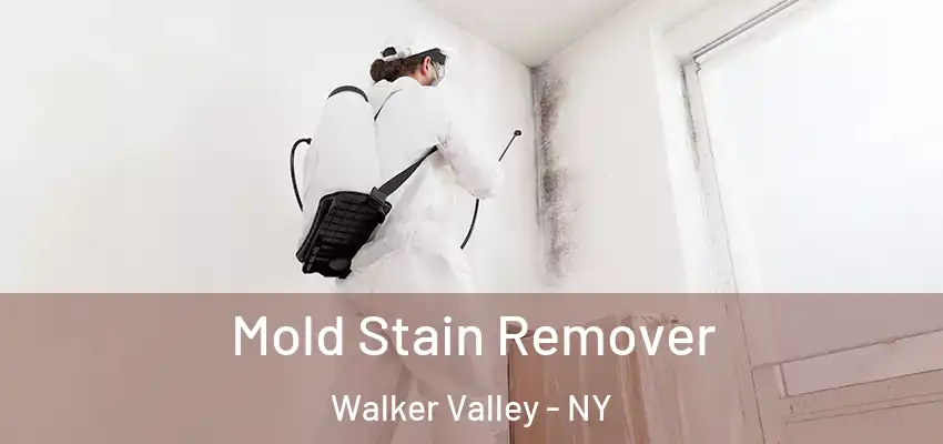 Mold Stain Remover Walker Valley - NY