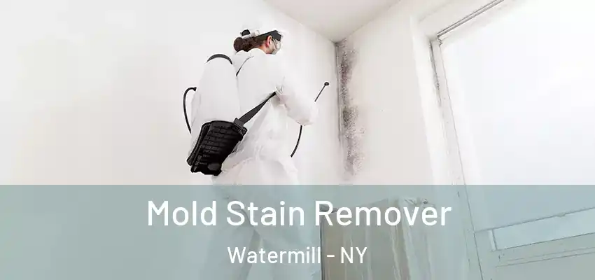  Mold Stain Remover Watermill - NY