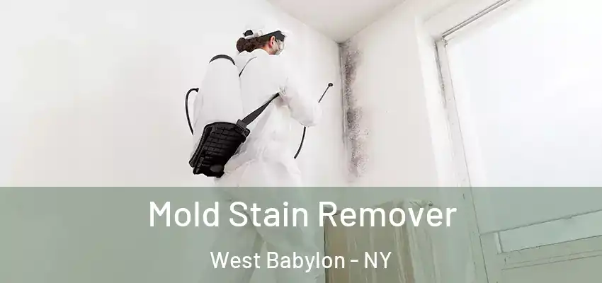 Mold Stain Remover West Babylon - NY