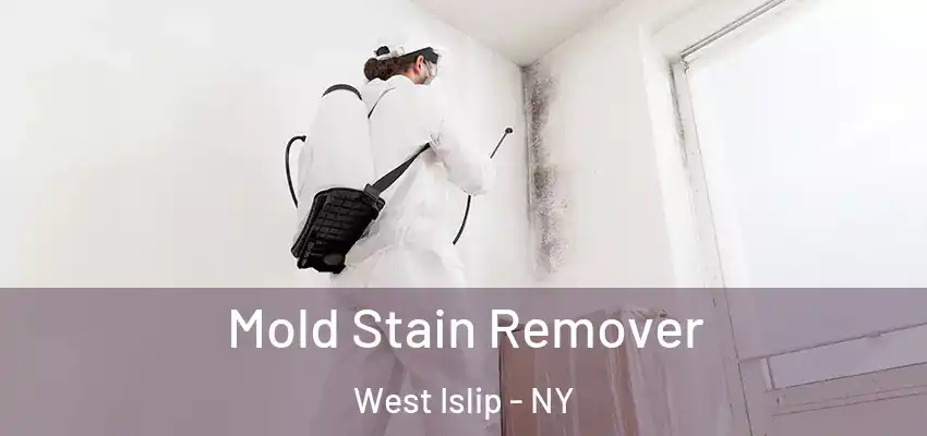  Mold Stain Remover West Islip - NY