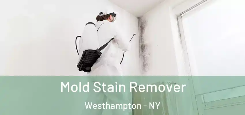 Mold Stain Remover Westhampton - NY