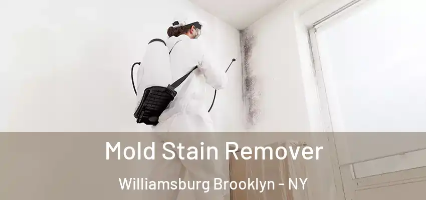  Mold Stain Remover Williamsburg Brooklyn - NY
