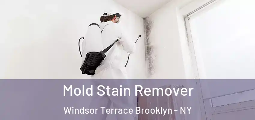  Mold Stain Remover Windsor Terrace Brooklyn - NY