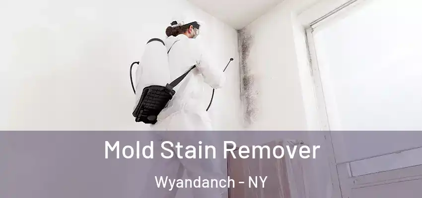  Mold Stain Remover Wyandanch - NY