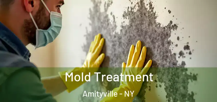  Mold Treatment Amityville - NY