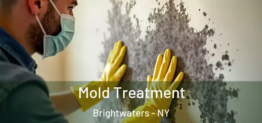 Mold Treatment Brightwaters - NY