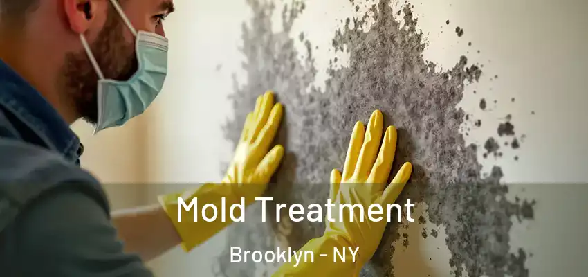  Mold Treatment Brooklyn - NY