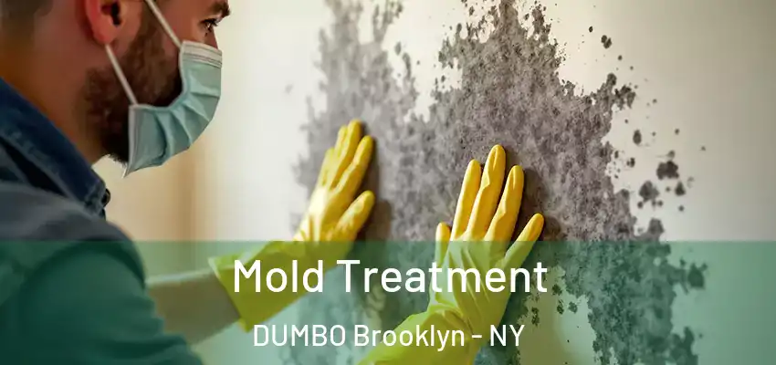  Mold Treatment DUMBO Brooklyn - NY