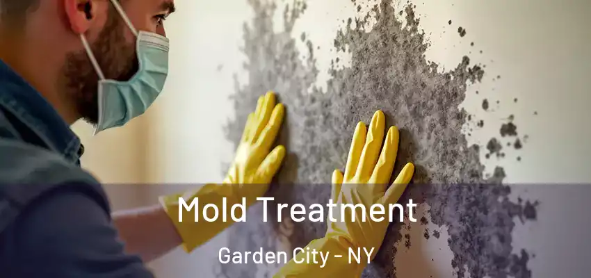  Mold Treatment Garden City - NY