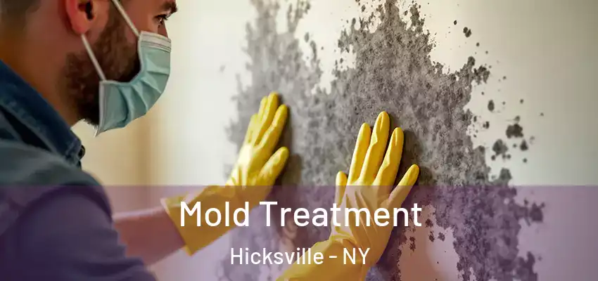  Mold Treatment Hicksville - NY