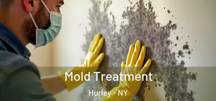 Mold Treatment Hurley - NY