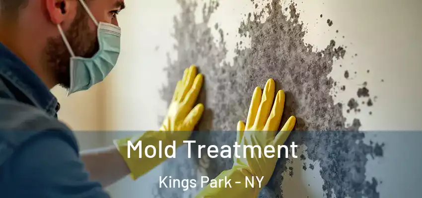  Mold Treatment Kings Park - NY