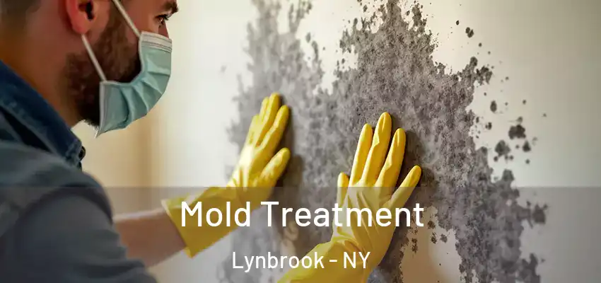 Mold Treatment Lynbrook - NY