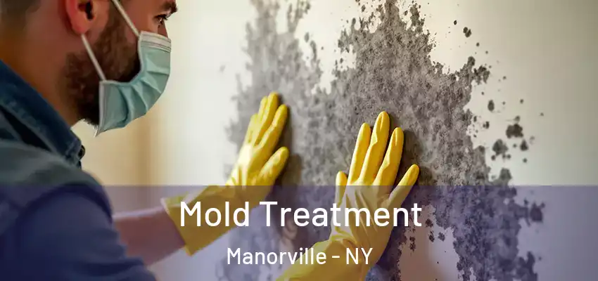  Mold Treatment Manorville - NY