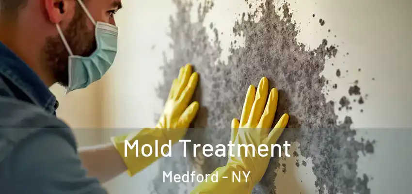  Mold Treatment Medford - NY