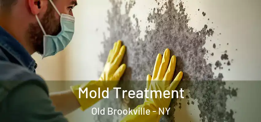  Mold Treatment Old Brookville - NY