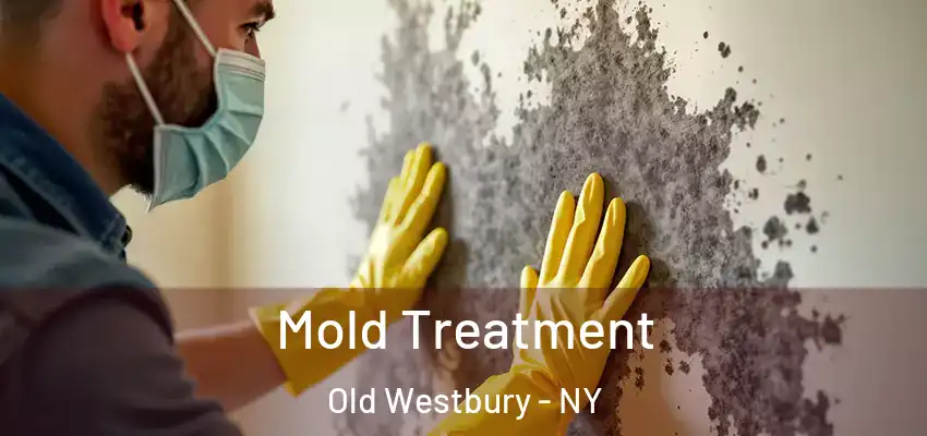  Mold Treatment Old Westbury - NY