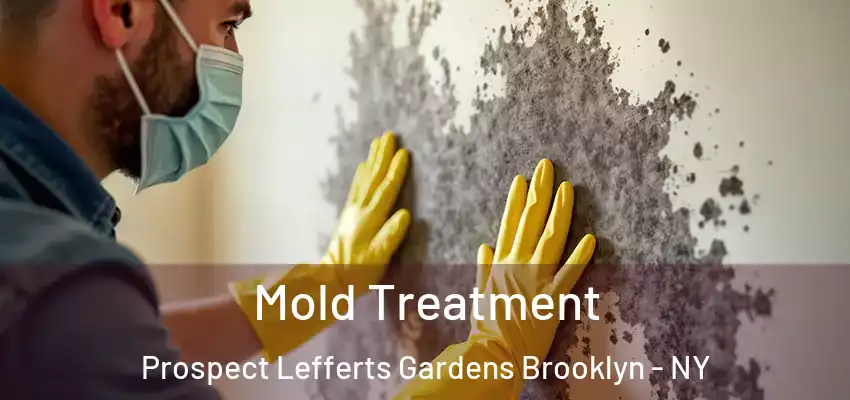  Mold Treatment Prospect Lefferts Gardens Brooklyn - NY