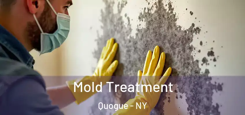  Mold Treatment Quogue - NY