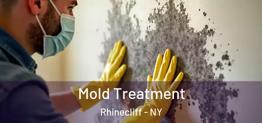  Mold Treatment Rhinecliff - NY