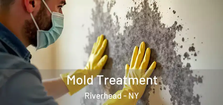 Mold Treatment Riverhead - NY