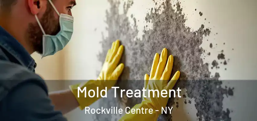  Mold Treatment Rockville Centre - NY