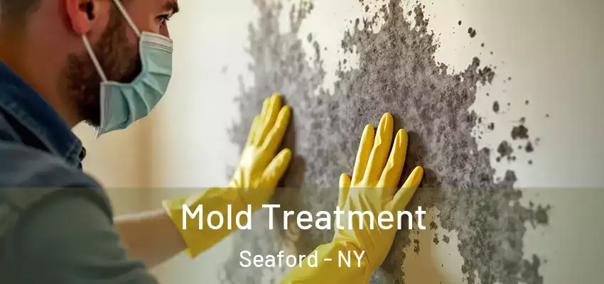  Mold Treatment Seaford - NY