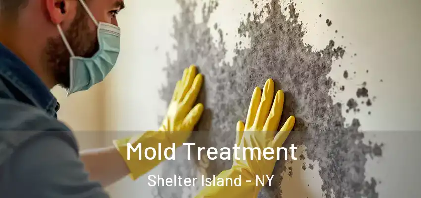 Mold Treatment Shelter Island - NY