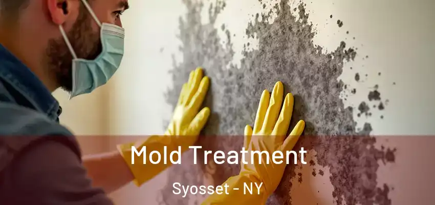 Mold Treatment Syosset - NY