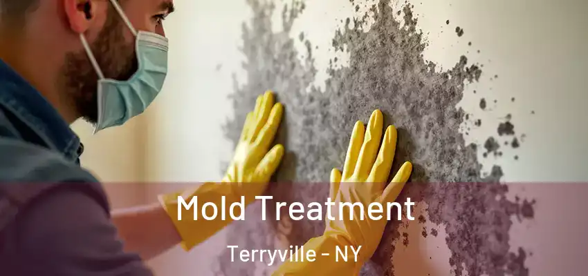  Mold Treatment Terryville - NY