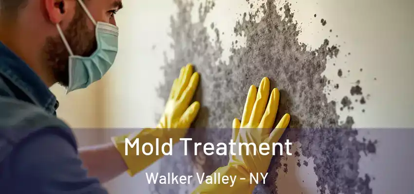 Mold Treatment Walker Valley - NY