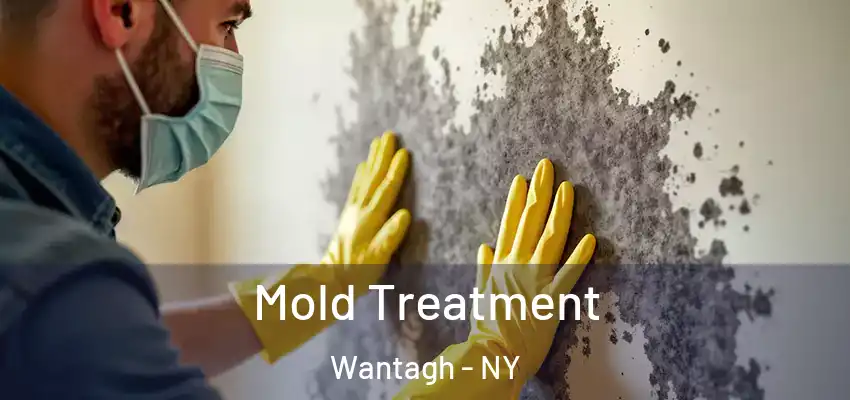  Mold Treatment Wantagh - NY