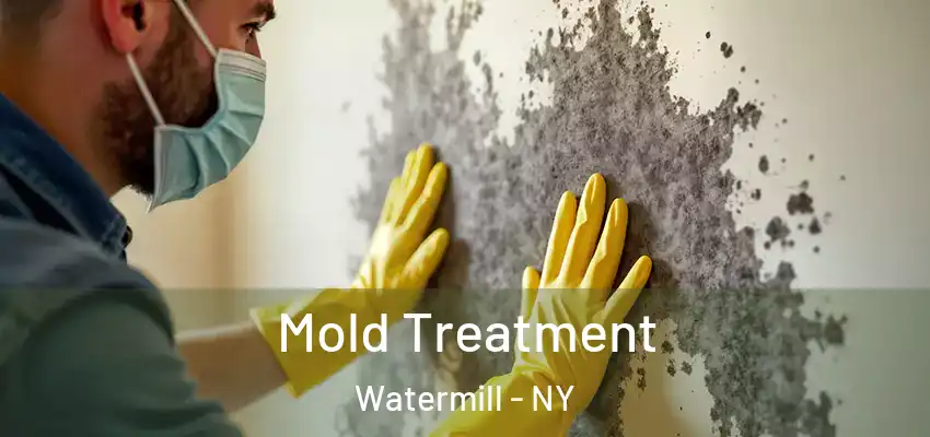  Mold Treatment Watermill - NY