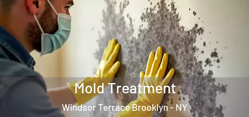  Mold Treatment Windsor Terrace Brooklyn - NY
