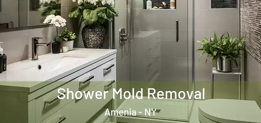 Shower Mold Removal Amenia - NY
