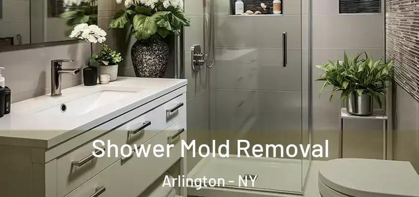 Shower Mold Removal Arlington - NY