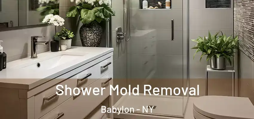 Shower Mold Removal Babylon - NY
