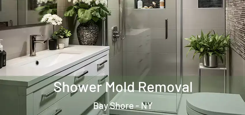  Shower Mold Removal Bay Shore - NY