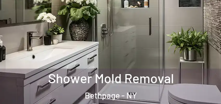 Shower Mold Removal Bethpage - NY